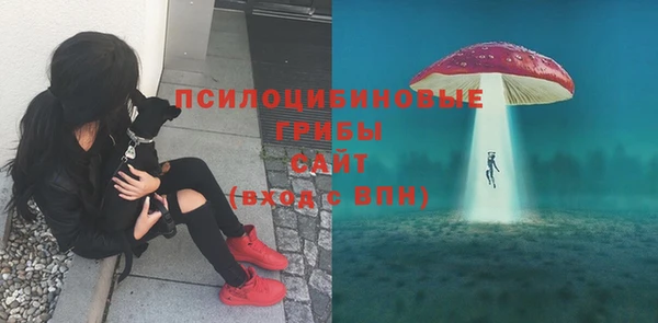 марки nbome Алексеевка