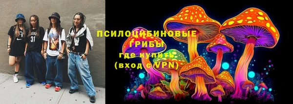 спайс Алзамай