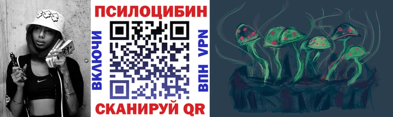 Псилоцибиновые грибы Psilocybine cubensis Злынка